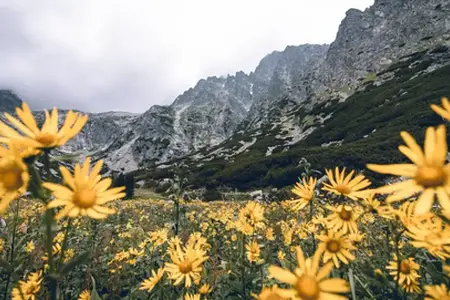Slovaška e-vinjeta: Pot do potovalnih možnosti